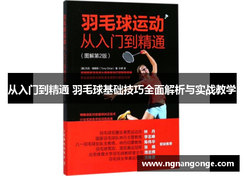 从入门到精通 羽毛球基础技巧全面解析与实战教学